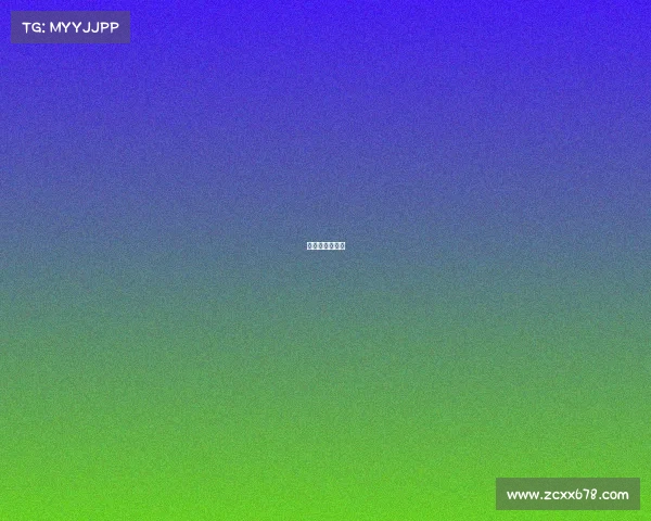 美金杯在哪举行